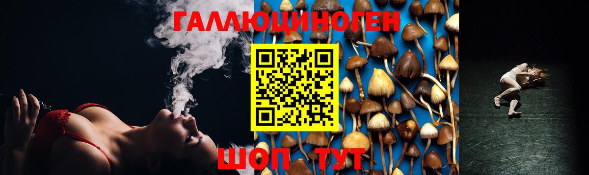 Псилоцибиновые грибы ЛСД  Псилоцибиновые грибы GOLDEN TEACHER  Вход с VPN  Будённовск 